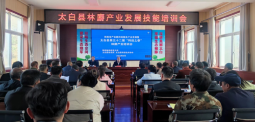 寶雞太白 林麝產業“活”了鄉村 法治保障“穩”了振興路